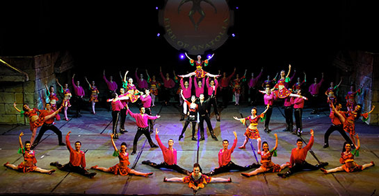 Anadolu Ateşi Türleri ve Özellikleri